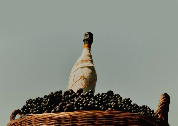 뵈브 클리코 X 자크뮈스 샴페인 / 자크뮈스 제공