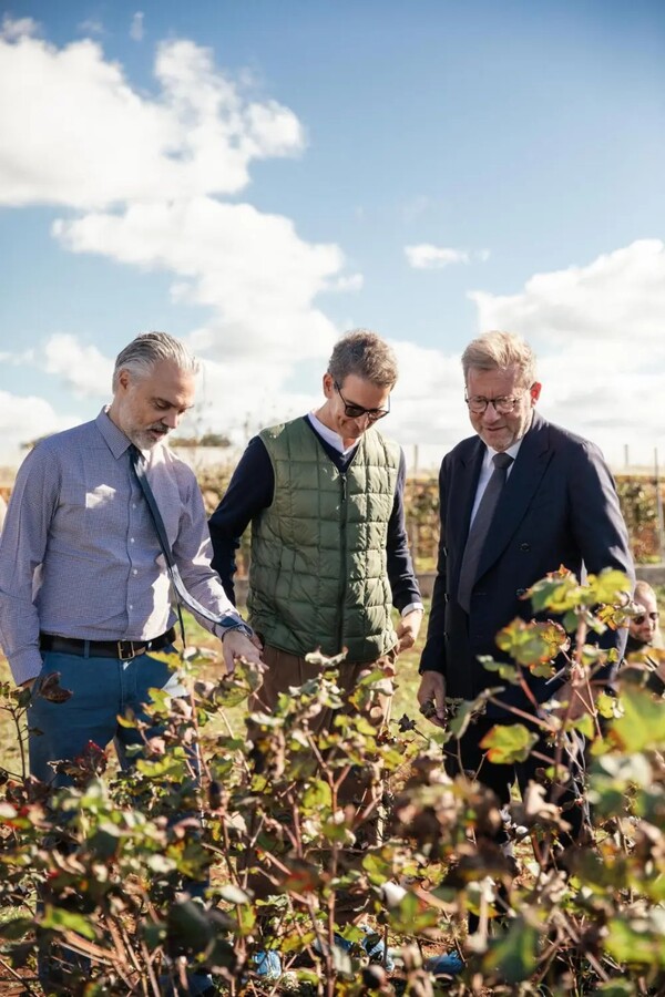 안드레아 카메라나, 페데리코 마르체티, 주세페 마르소치 / FEDERICA LIVIA, FRIGOBAR PRODUCTION 제공